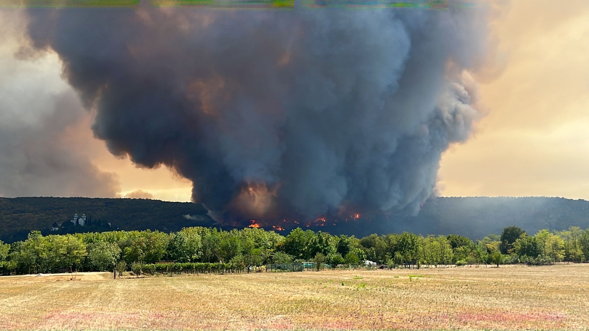 Incendi sul Carso, Wwf lancia la campagna per cercare inneschi e responsabili